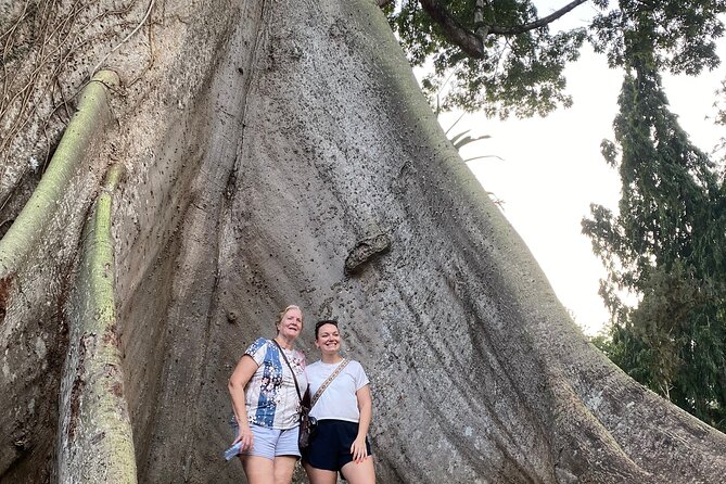 Day Trip Near Accra - Visit Aburi Gardens, Waterfall & Cocoa Farm - Oboadaka Falls and the walk below the road