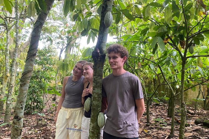 Day Trip Near Accra - Visit Aburi Gardens, Waterfall & Cocoa Farm - Who should book this experience?