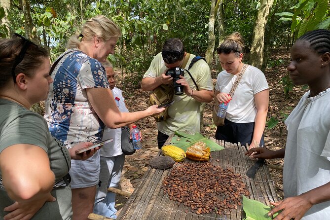 Day Trip Near Accra - Visit Aburi Gardens, Waterfall & Cocoa Farm - Tetteh Quarshie Cocoa Farm and Ghana’s chocolate story
