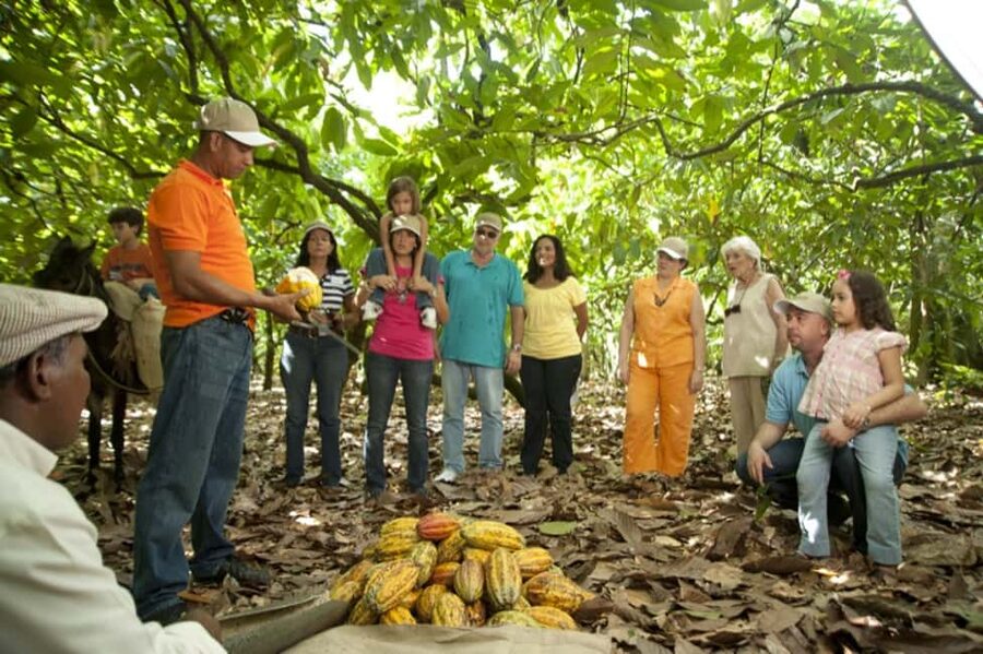 Dominican Republic: 3-Hour Chocolate Lovers Tour - Key points to know before you go