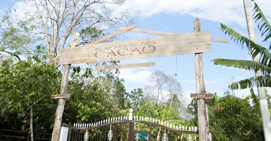 Dominican Republic: 3-Hour Chocolate Lovers Tour - Booking advice and final verdict