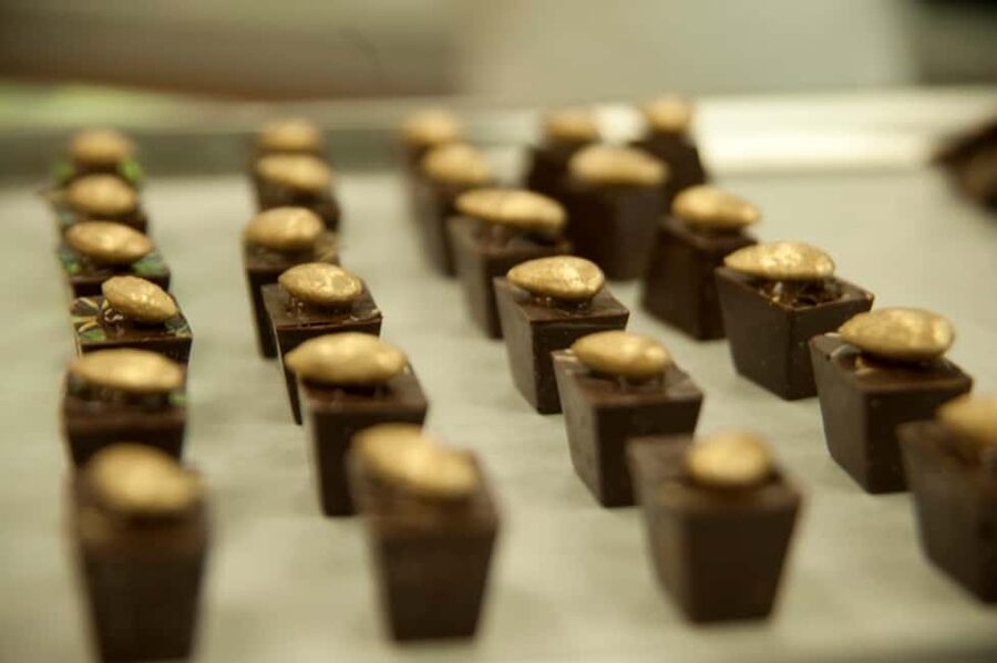 Dominican Republic: 3-Hour Chocolate Lovers Tour - Why fermentation and drying change the flavor