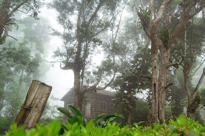 Escape Accra City to Aburi Gardens and Tetteh Quarshie Cocoa Farms - The private vehicle and pickup details
