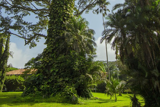 Escape Accra City to Aburi Gardens and Tetteh Quarshie Cocoa Farms - Guides can shape the whole outing