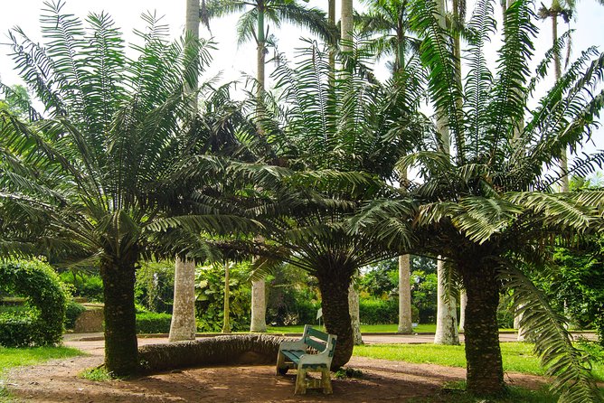 Escape Accra City to Aburi Gardens and Tetteh Quarshie Cocoa Farms - How long the day really takes