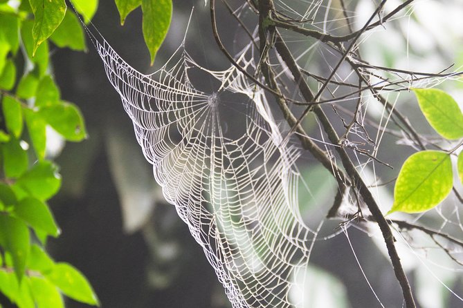 Escape Accra City to Aburi Gardens and Tetteh Quarshie Cocoa Farms - Who will get the most from this tour?