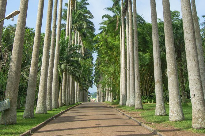 Escape Accra City to Aburi Gardens and Tetteh Quarshie Cocoa Farms - Two hours among the plants at Aburi Botanical Gardens