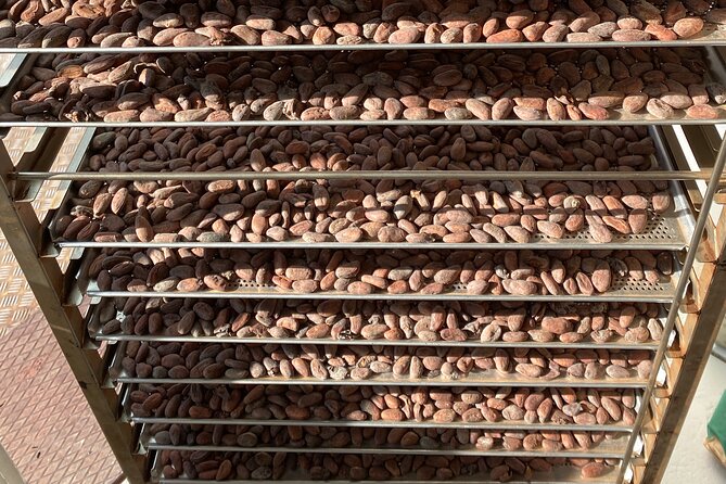 Ethical Chocolate Tour - Timing, walking, and practical comfort