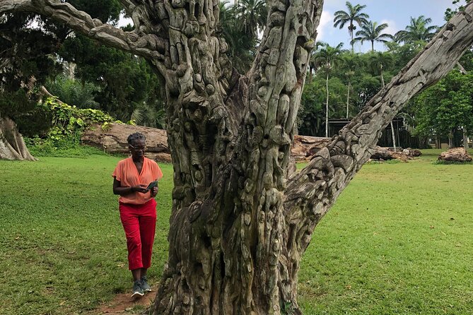 Experience Boti Waterfalls, Aburi Botanical Gardens & Tetteh Quarshie Cocoa Farm - Boti Waterfalls: the day’s demanding highlight