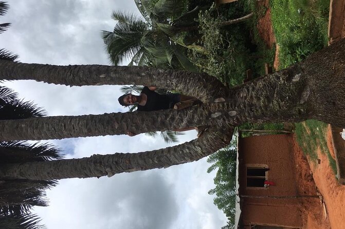 Experience Boti Waterfalls, Aburi Botanical Gardens & Tetteh Quarshie Cocoa Farm - Guides, timing, and practical preparation