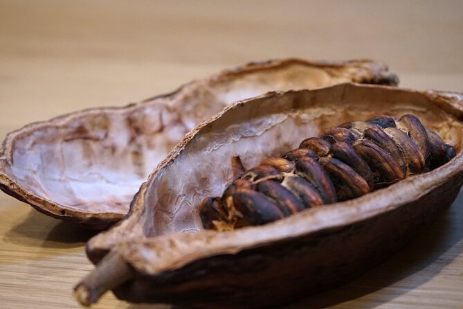 Fine Chocolate Tasting in Turin - Why chocolate makes sense in Turin