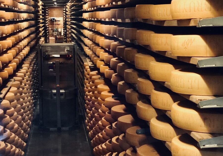 From Geneva: Gruyére Chocolate and Cheese Tasting Day Trip - Who will enjoy this most