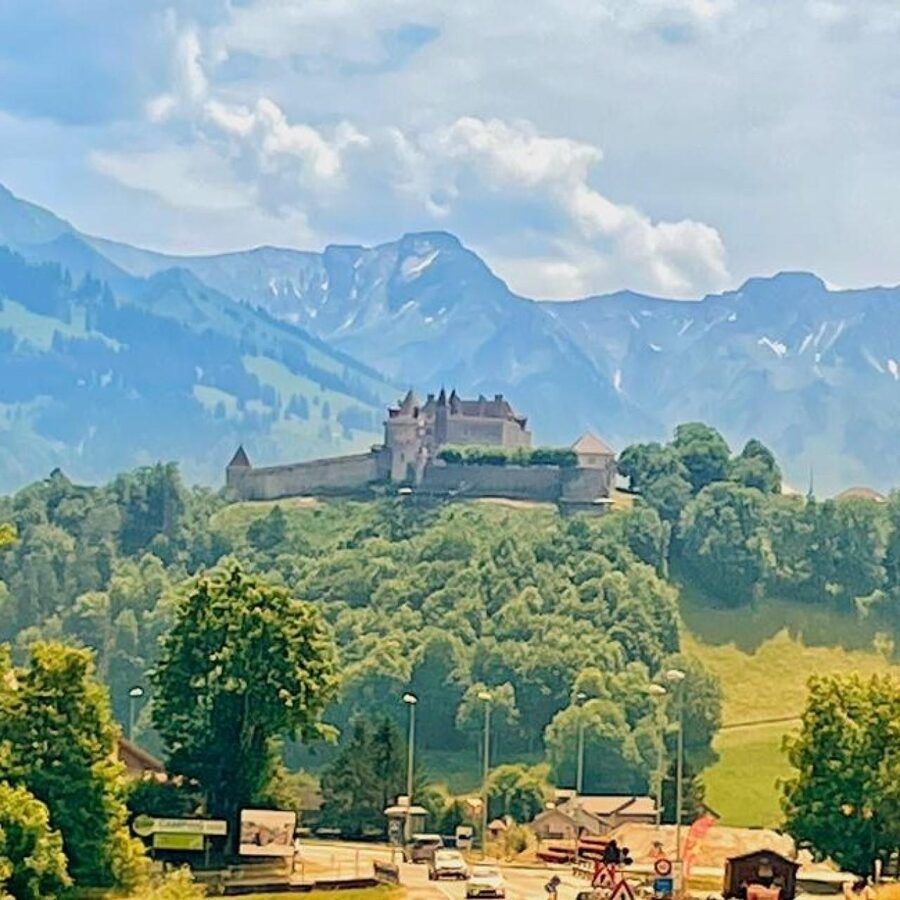 From Geneva: Gruyeres Castle, Cheese, Chocolate & Montreux - Who should book this experience