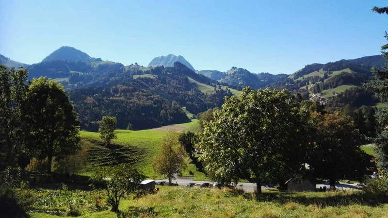 From Geneva: Gruyères Tour with Cheese & Chocolate Factories - Is $200 a fair price?