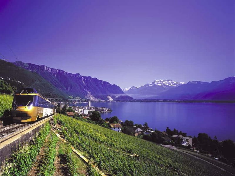 From Lausanne: Gruyères Tour with Train, Chocolate & Cheese - Why this makes a good day from Lausanne