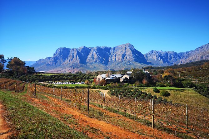 Full-Day Chocolate, Cheese, Olive and Wine Tour from Stellenbosch - La Rochelle sets the day in motion