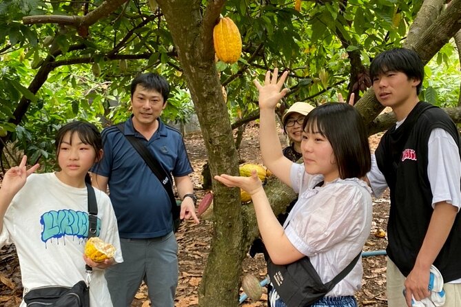 Full Day Experience to Farm and Chocolate - Cafe, desserts, and the souvenir shop