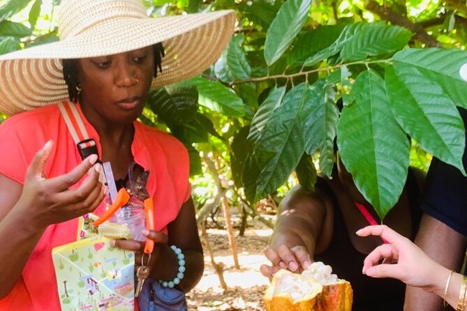 Full Day Experience to Farm and Chocolate - Is $16.55 good value for eight hours?