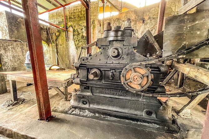 Full-Day Tour: Concord Waterfall, Chocolate Factory, Rum Distillery, Grand Etang - Sauteurs Bay and lunch with a coastal view