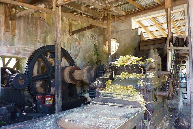 Full-Day Tour: Concord Waterfall, Chocolate Factory, Rum Distillery, Grand Etang - River Antoine: the day’s strongest historical stop