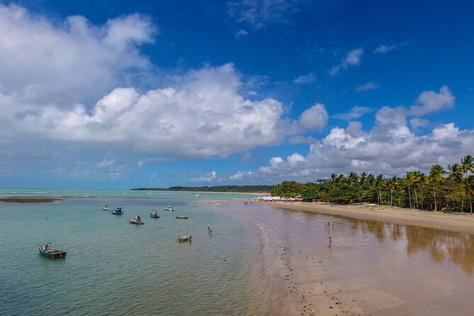 Full Day Tour in Trancoso with Chocolate Factory - Quadrado, Trancoso’s leafy square on the plateau