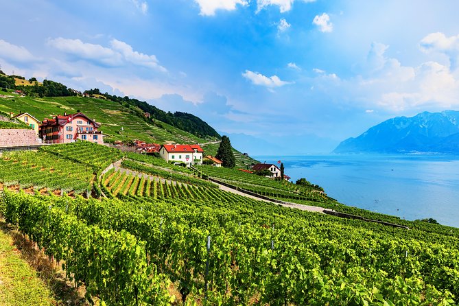 Geneva to Gruyère Private Day Trip. Cheese & Chocolate Tour - The Lavaux panorama on the way