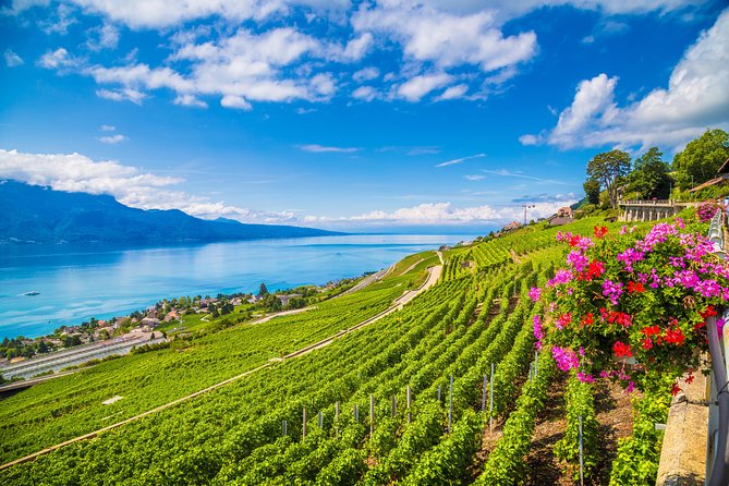 Geneva to Gruyère Private Day Trip. Cheese & Chocolate Tour - The language question and driver service
