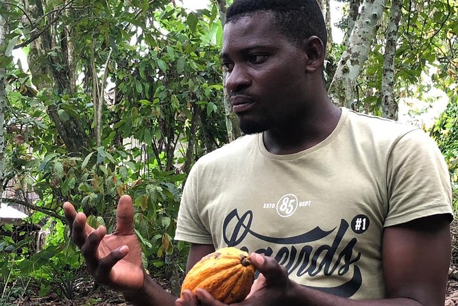 Ghana Eastern Explorer - Boti Falls, Aburi Gardens & Tetther Quarshie Cocoa Farm - Who will enjoy this tour most