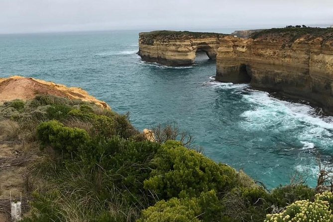 Great Ocean Road 12 Apostles kangaroo, koala and chocolate tour - Why this budget day trip can be good value