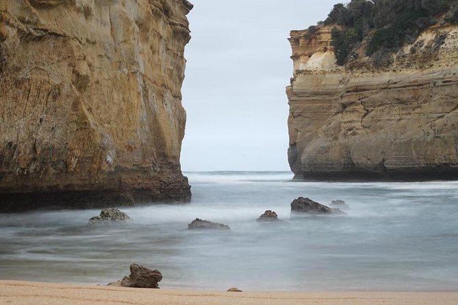 Great Ocean Road 12 Apostles kangaroo, koala and chocolate tour - Searching for kangaroos at Anglesea Golf Club