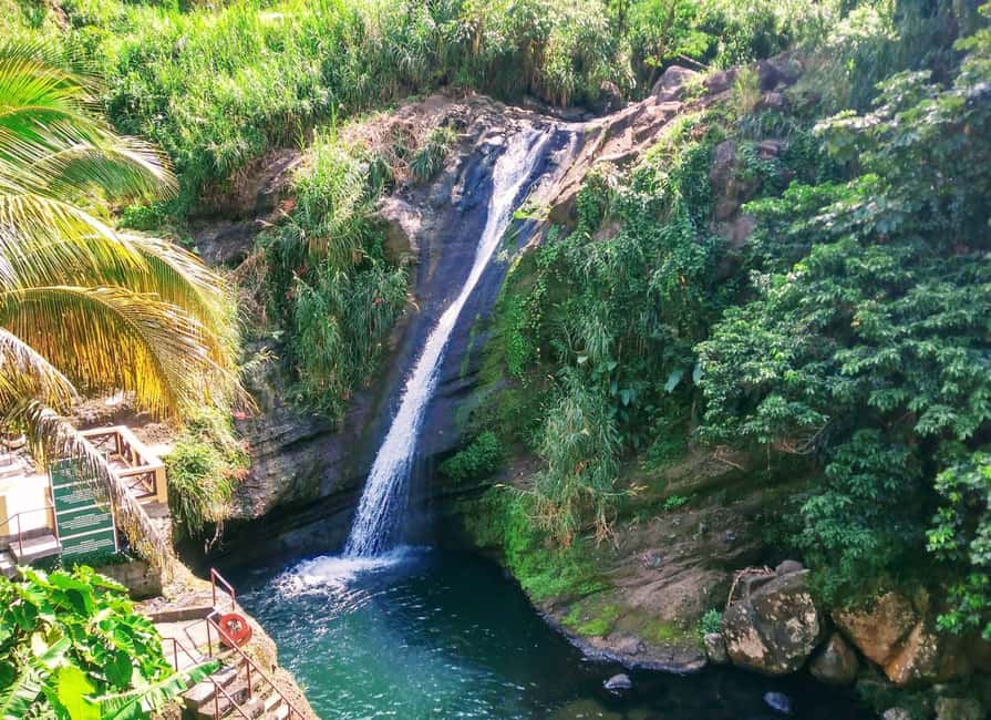 Grenada: Culture and Nature Island Tour with Chocolate & Rum - Grand Etang and the forested heart of the island