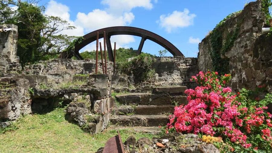 Grenada: Culture and Nature Island Tour with Chocolate & Rum - Lunch, local flavor, and what is actually included