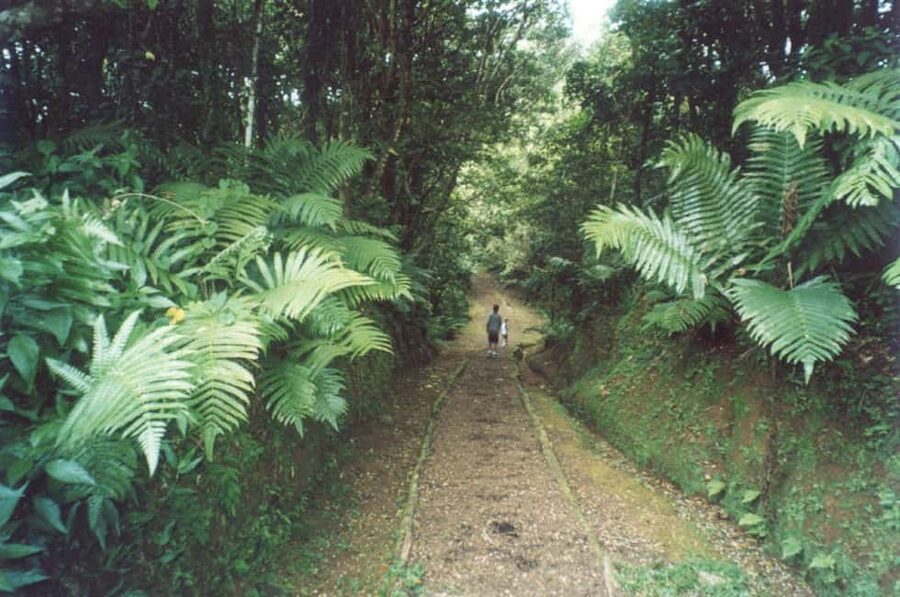 Grenada: Culture and Nature Island Tour with Chocolate & Rum - The guide makes or breaks the experience
