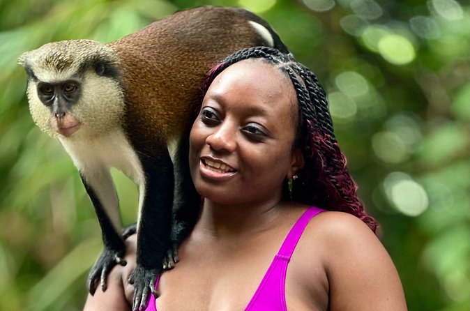 Grenada Day Tour-Concord Falls, Chocolate, Rum & Grand Etang Lake - A restaurant stop for Grenadian cooking
