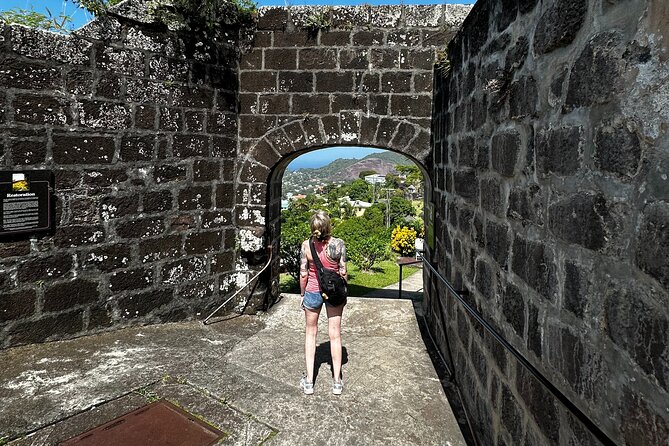 Grenada Half Day Tour: Fort, Spice, Falls, Chocolate & Lunch Stop - Is $160 a fair price?
