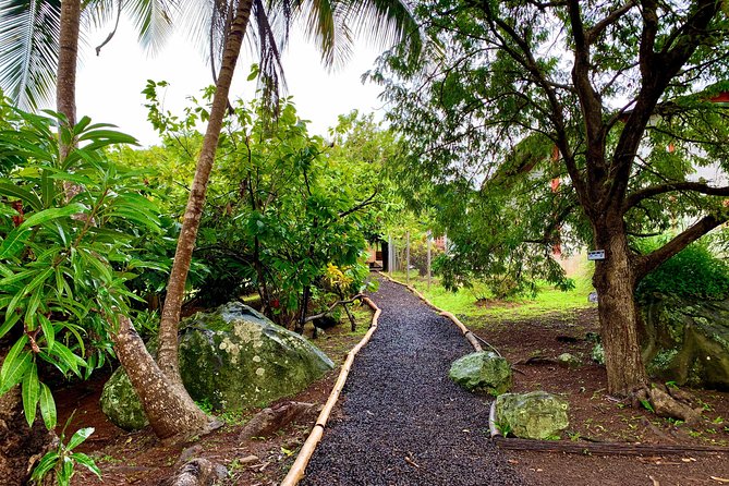 Grenada Herb & Spice Tour -Fort Frederick, Chocolate & Waterfalls - Tri-Island Chocolate: from cocoa bean to finished bar