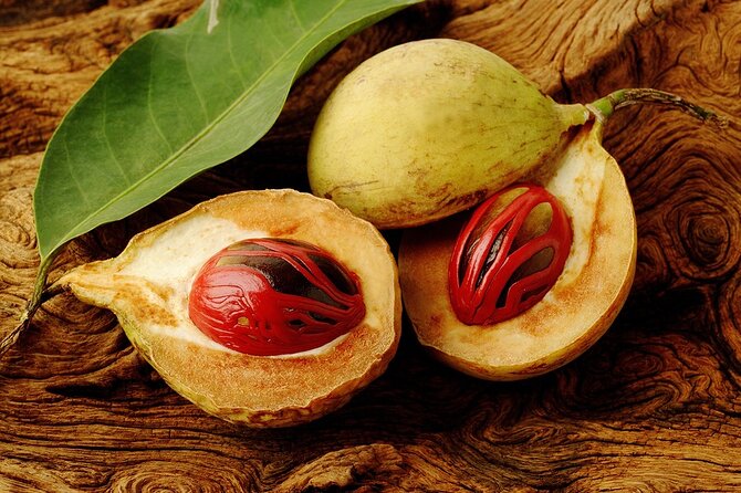 Grenada Spice Gardens, Rum & Chocolate Tour (Full/Half Day) - Why this tour gives you a useful taste of Grenada