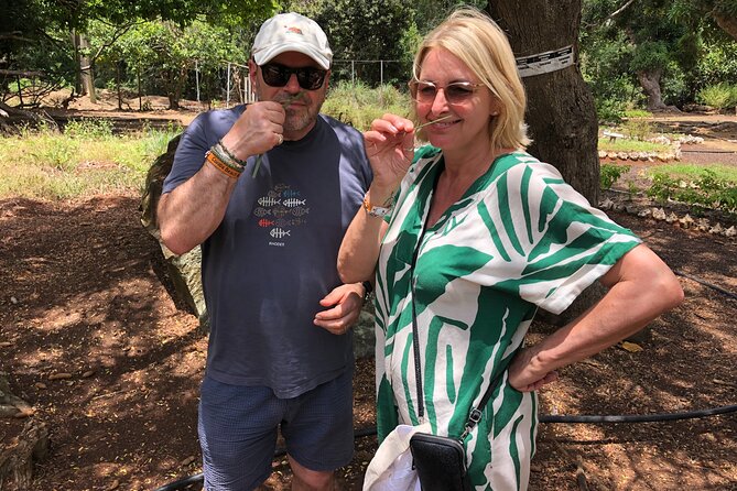 Grenada Spice Gardens, Rum & Chocolate Tour (Full/Half Day) - Clarke’s Court Rum Distillery and the cost of tasting