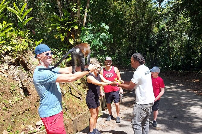 Grenada Spice with Rum and Cocoa Heritage Tour - Grand Etang Lake: a cool finish in the rainforest