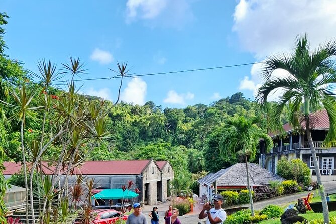 Grenada Spice with Rum and Cocoa Heritage Tour - Concord Falls: a cool start in the hills