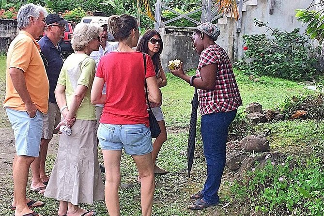 Grenada West Coast: Waterfalls, Chocolate & Rum Half-Day Tour - Caribs’ Leap: a serious historical pause