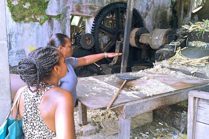 Grenada West Coast: Waterfalls, Chocolate & Rum Half-Day Tour - Grand Etang and the Mona monkeys