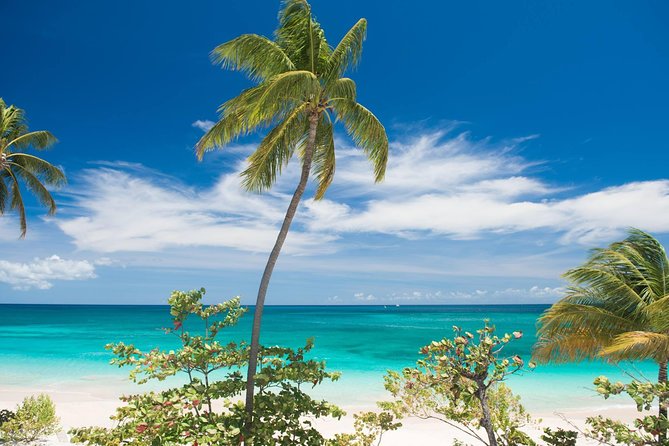 Grenada West Coast: Waterfalls, Chocolate & Rum Half-Day Tour - Gouyave and Victoria: nutmeg beyond the souvenir shelf