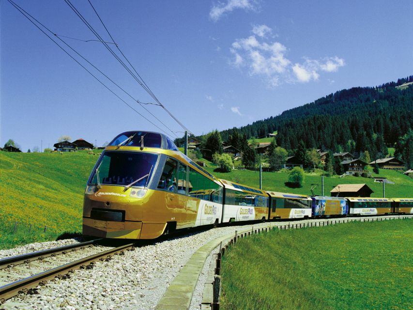 Gruyères, Cheese and Chocolate: Private Tour - A full Swiss day from Geneva