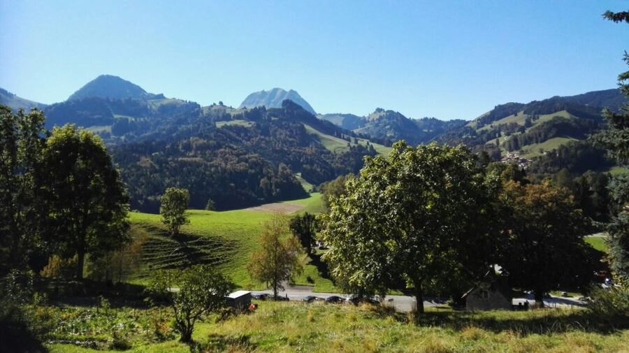 Gruyères, Cheese and Chocolate: Private Tour - Who will enjoy this private tour?