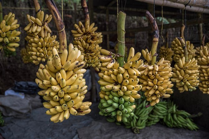 Guayaquil to Cuenca one-way tour with Cajas Park and a Cacao Farm visit - Tamarindo fruit bridge: a quick taste of local produce