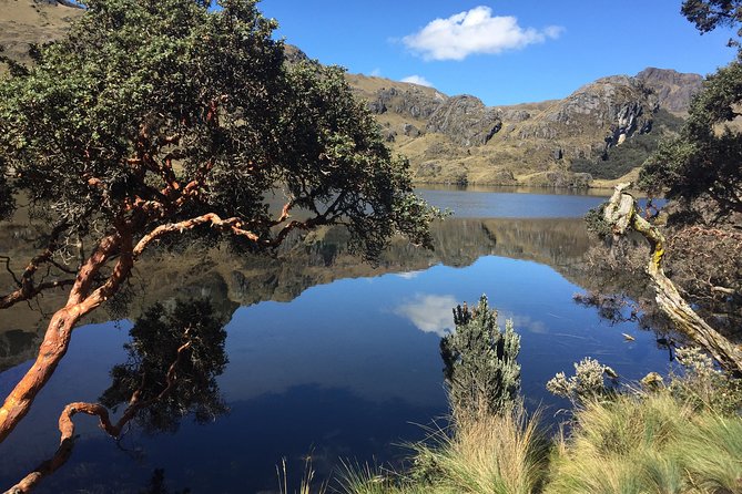 Guayaquil to Cuenca one-way tour with Cajas Park and a Cacao Farm visit - Who should book this experience?