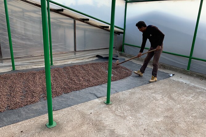 Guided tour of the Artisan Chocolate Factory in Tuscany - Finishing in the Factory Shop