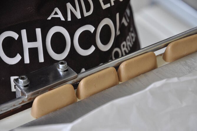 Guided Tour of the Chocolate Factory: Tasting Included - Who Will Get the Most From This Visit
