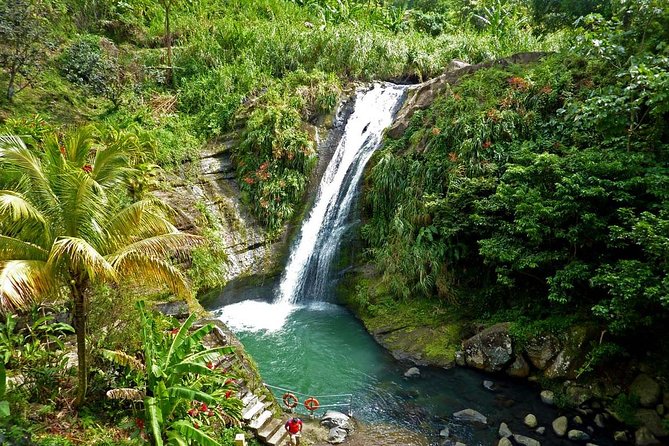 Half-Day Concord Waterfall and Chocolate Factory Tour - Why this tour works as a first day in Grenada